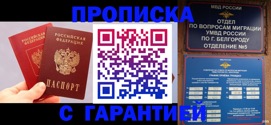 прописка 2025 в Лесозаводске